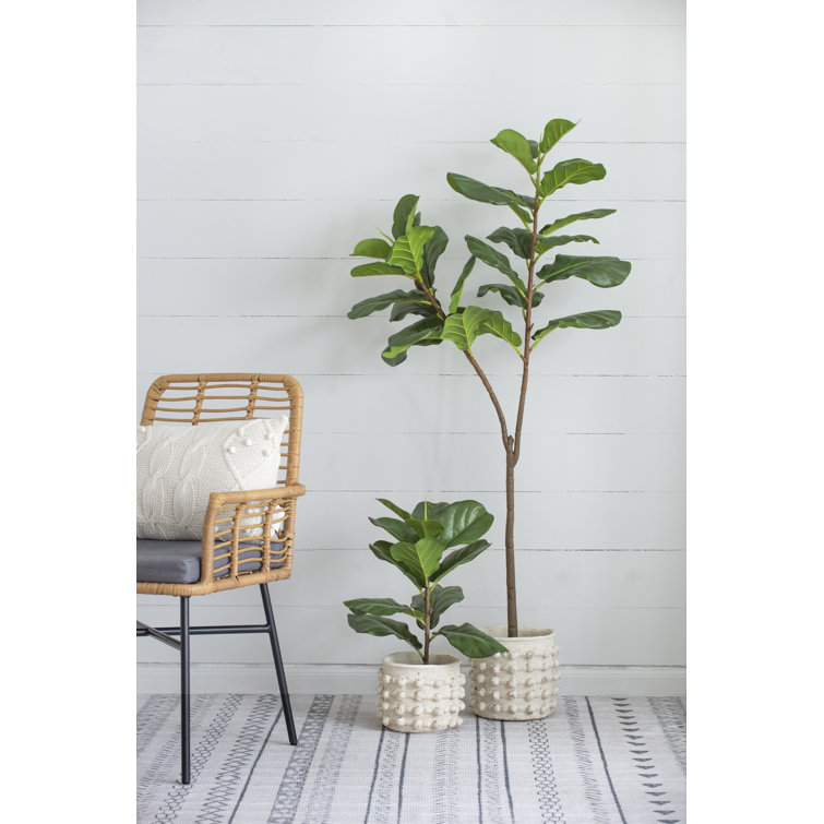 Joss & Main 55.1'' Faux Fiddle Leaf Fig Tree in Cement Pot Wayfair